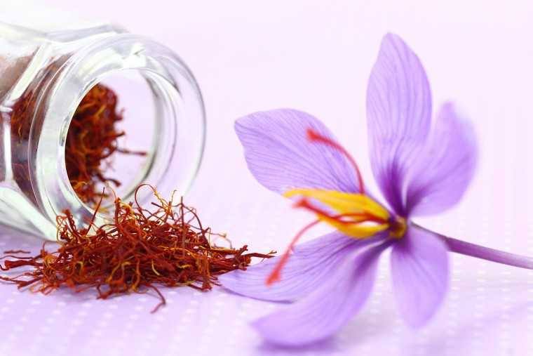 nhuy hoa nghe tay saffron la gi (1)